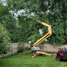 Best Tree and Shrub Care  in Southmont, PA